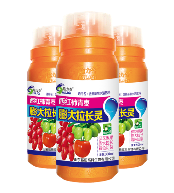 西紅柿青棗膨大拉長(zhǎng)靈